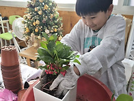 11/19 참솔 문예행사 화분..