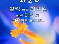 10월 8일 화요일