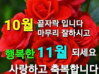 10월 29일 화요일