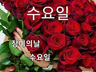 5월 12일 수요일