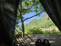 5/17~5/19(금~..