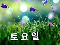 10월 26일 토요일 27일 ..