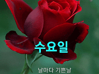 4월 30일 수요일