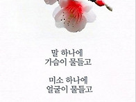 5월 3일 토요일 4일 일요..