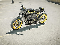 Harley-David..