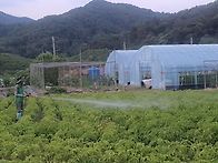 4차 5차 이엠발효액 주기