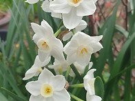 예수그리스도의 말씀에 온..