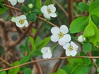 나는 십자가 앞에 온전한 ..