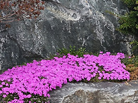 예수그리스도만 존귀하게 ..