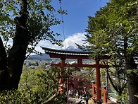 260420 후지산 둘레길(2..