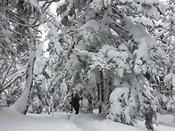 &#65308;2026&#65310;1/10 일본&#65308;북알프..