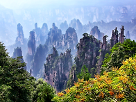 ＜2026＞10/31 장가계 트..