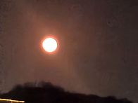 부활 축하드려요 !! - 김..