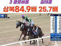 [경마결과]8월28..