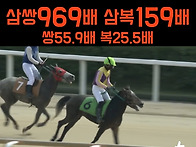 [경마결과]8월7일..