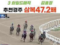8월29일 토요경마..