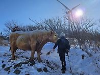 태기산(1,261m)신년산행/..