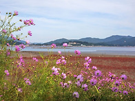 241009 춘천순환번개라이딩..