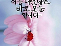 5월 21일 수요일 출석부