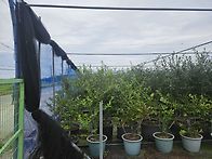 방조망 접었슈~~