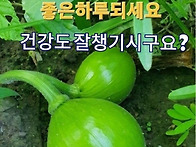 8월 13일 금요일 출석부