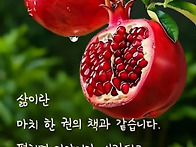 8월 13일 목요일 출석부