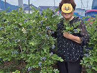 번외응모(?)