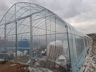 하우스 비닐 씌우기