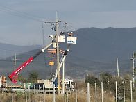 듀크준성목구합니다(충남인..