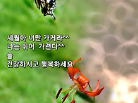 4월 9일목요일 출석부