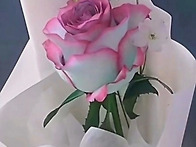 4월12일 일요일 출석부