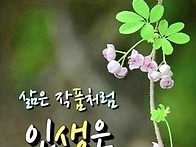 5월 14일 수요일 출석부