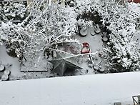 눈 雪(설)