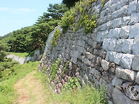 가림성(加林城)