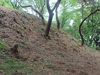 태봉산성(胎封山城)