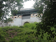 독용산성(禿用山城)