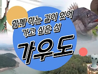 &#128044;[강진여행]가우도 /출렁다리
