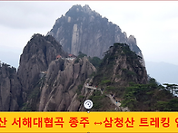 [청주공항]中國 황산&삼청산(4박5일)수시출..
