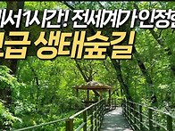 [힐트]원주 치악산(황자목숲길)*계곡*트레..