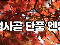 [힐트]남원 지리산뱀사골단풍축제_/와운 마..