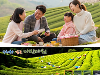 [힐트]보성&#127957;숲정원*윤제림/,..