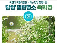 [힐트]담양 죽화경/죽녹원/메타쉐이어길. ..