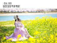 [광양] 섬진강둔치유채꽃 47