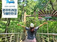 [힐트]원주 치악산(황자목숲길)/섬강자작나..