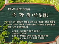 [힐트]담양 죽화경/죽녹원/메타쉐이어길. ..