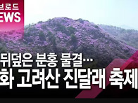 [힐트] 강화 진달래트레일레이스 (고려산)