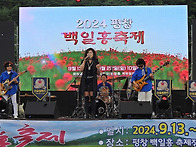 2024 평창 백일홍..