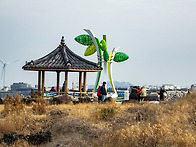 3월15일 신창풍차..