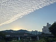 사람이 풍경으로 피어나