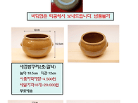 다육이 화분 선인장 화분 ..